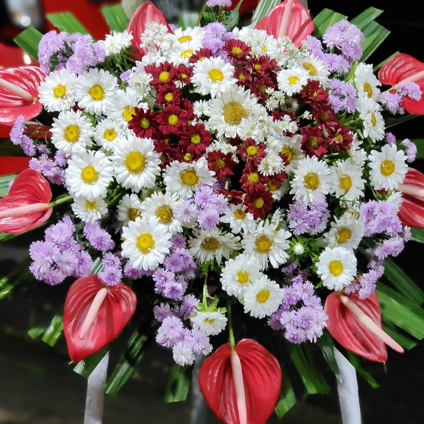 Standing Flower Duka Cita Anthurium Merah Putih – Medium